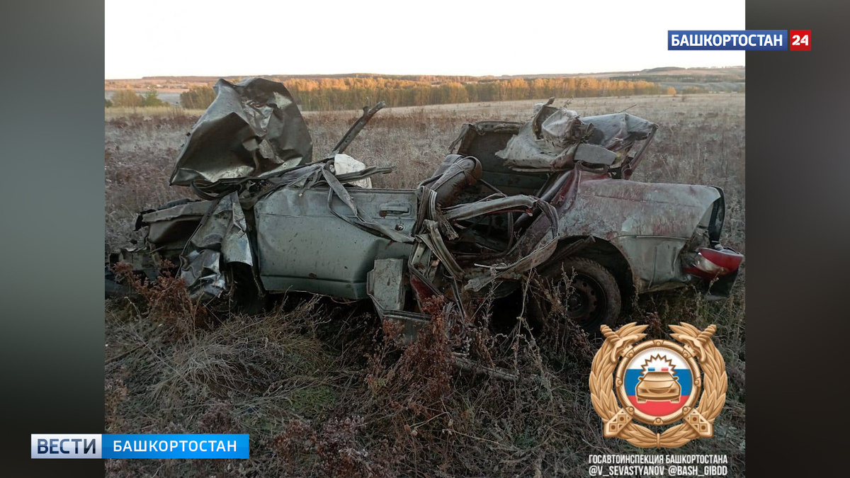    Наехал на лошадь и вылетел в кювет: три человека погибли в ДТП в Бижбулякском районе Башкирии