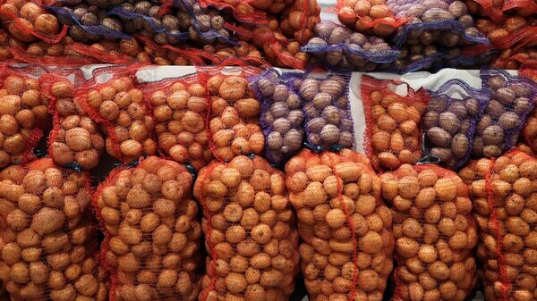    © Sputnik / Виталий Тимкив