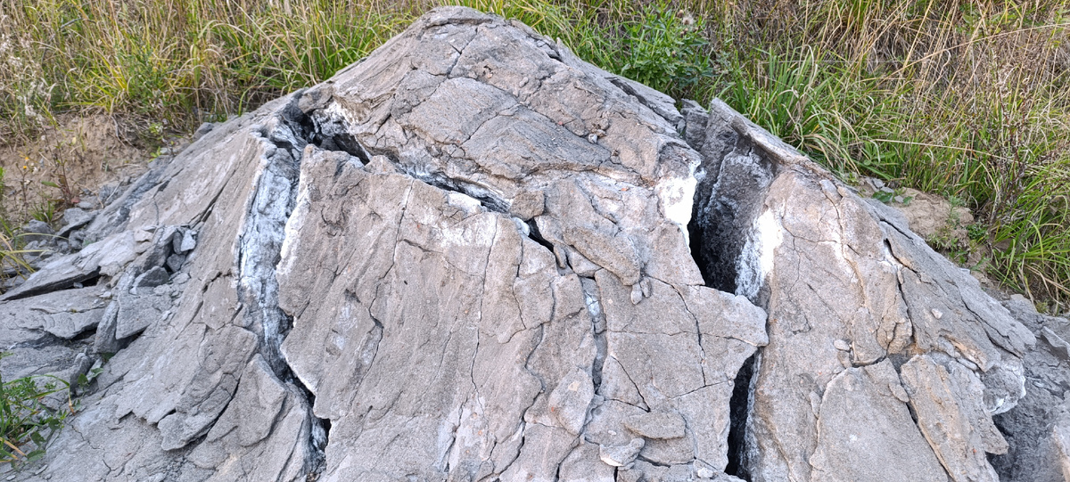 Кучи золы у золоотвала (Фото: Nixe (Bearna Team))