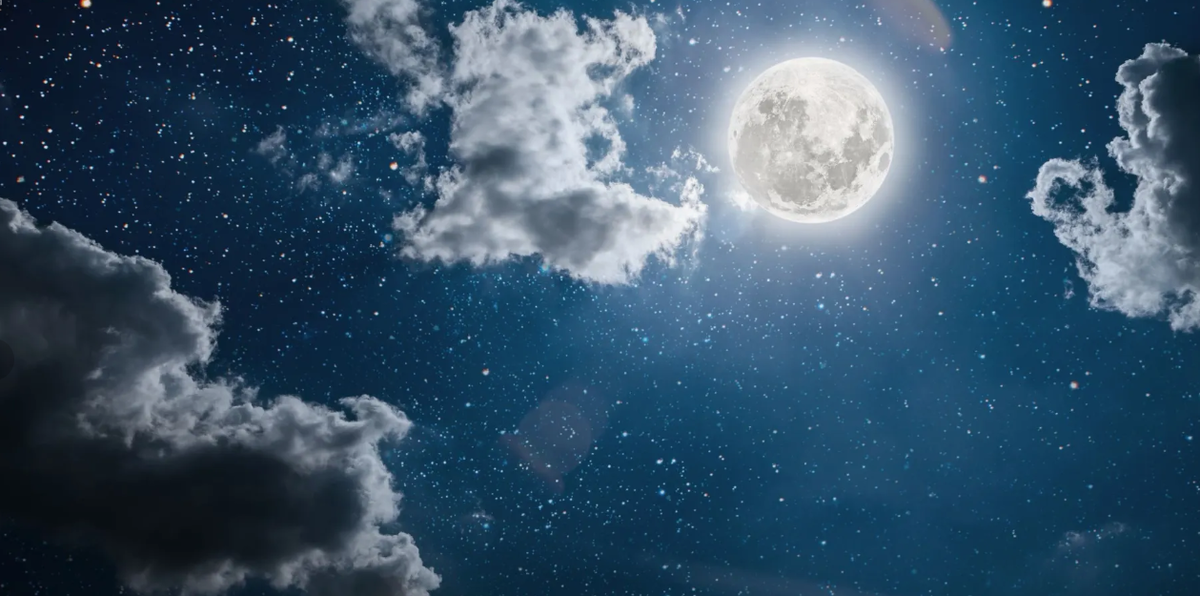 картинки Яндекс