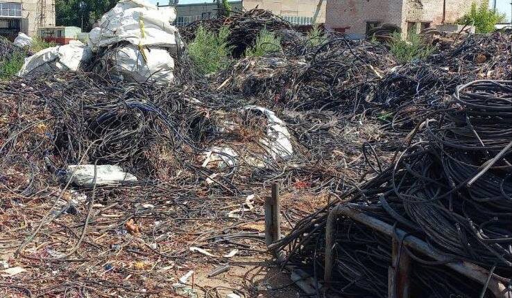    Фото Минприроды Самарской области