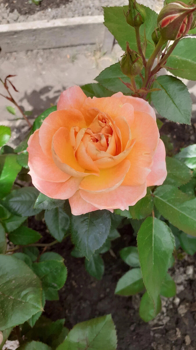 фото Вадима