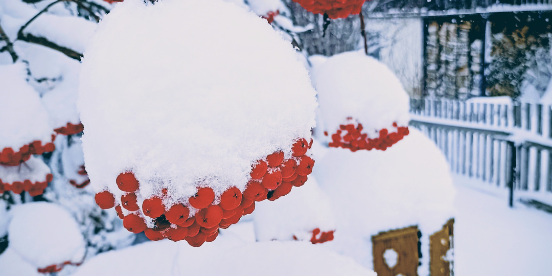 Замуж по необходимости