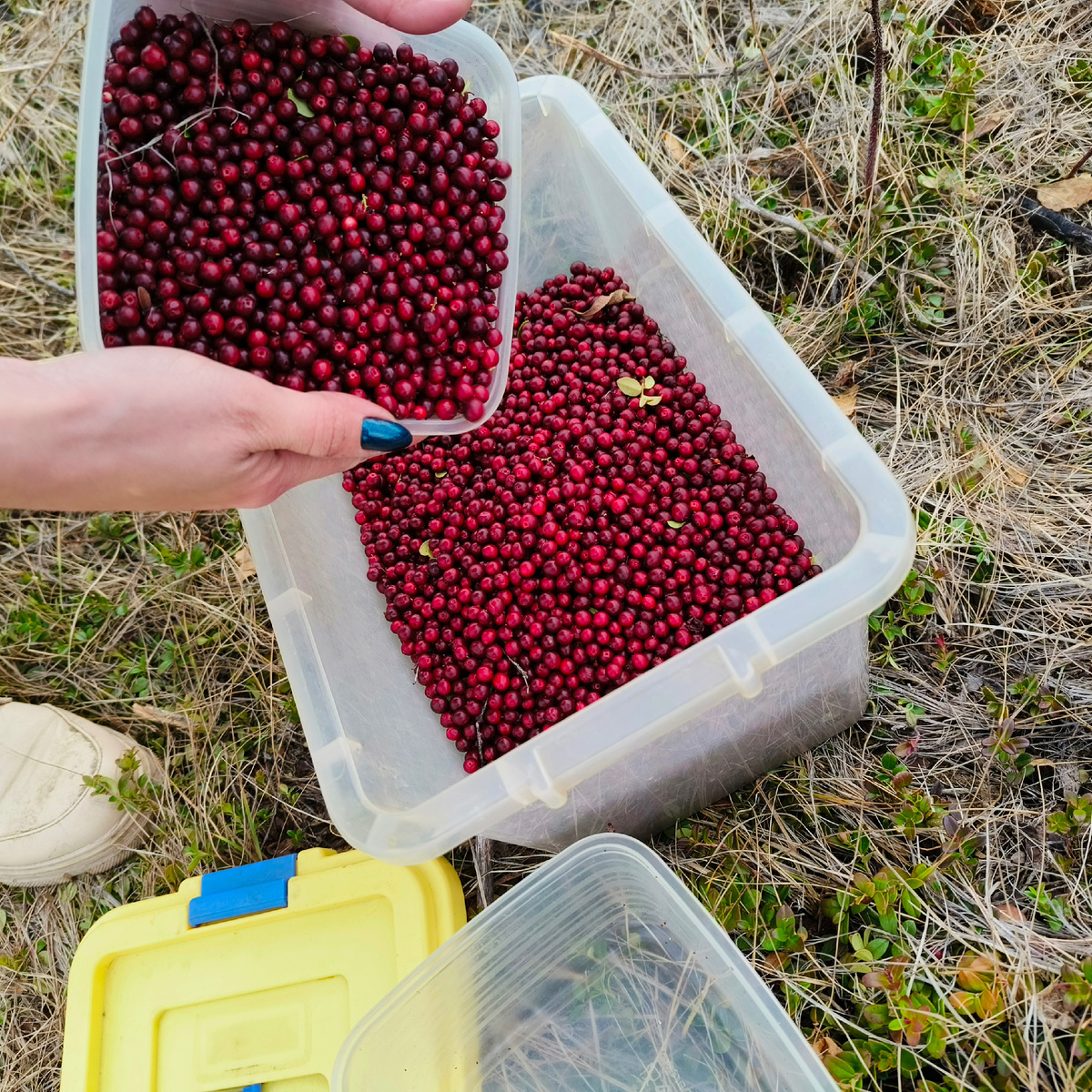 Это только начало)