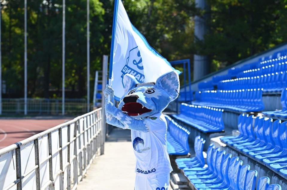    Динамовский талисман Волчонок зазывает на трибуны. Фото предоставлено «КП» ФК «Динамо-Владивосток»