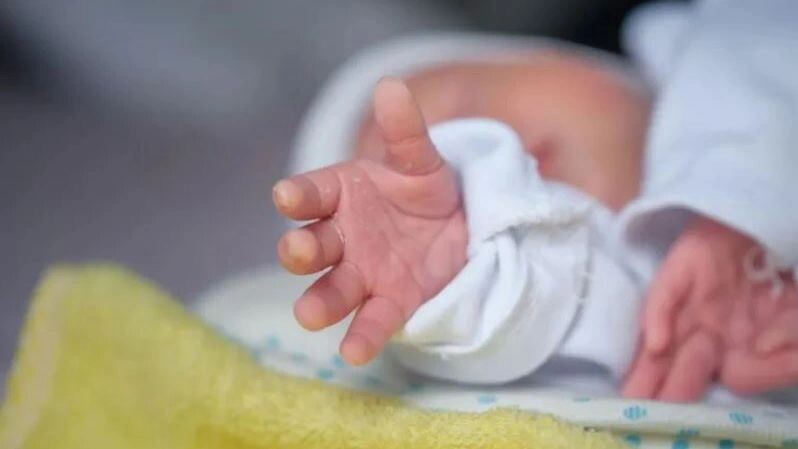    Фото: Mahsun YILDIZ/Shutterstock/Fotodom