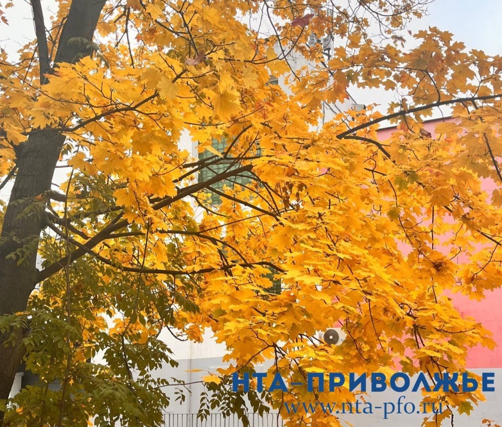    Народные приметы: 4 октября