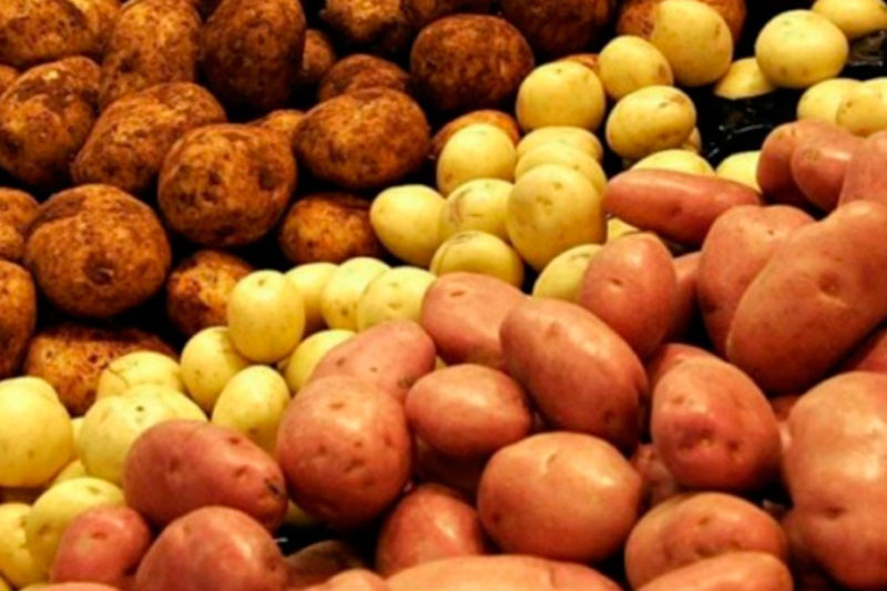     Фото: pixabay.com