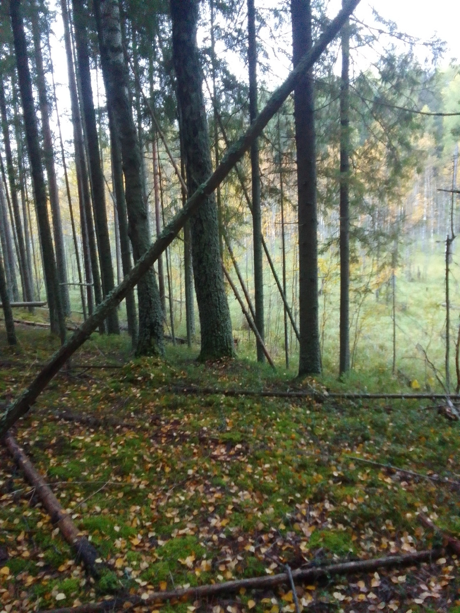 На островах