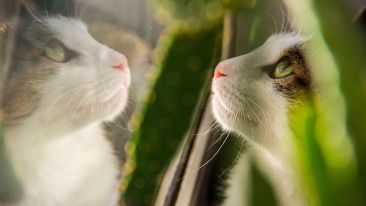 Светлана Мулыкина📷
