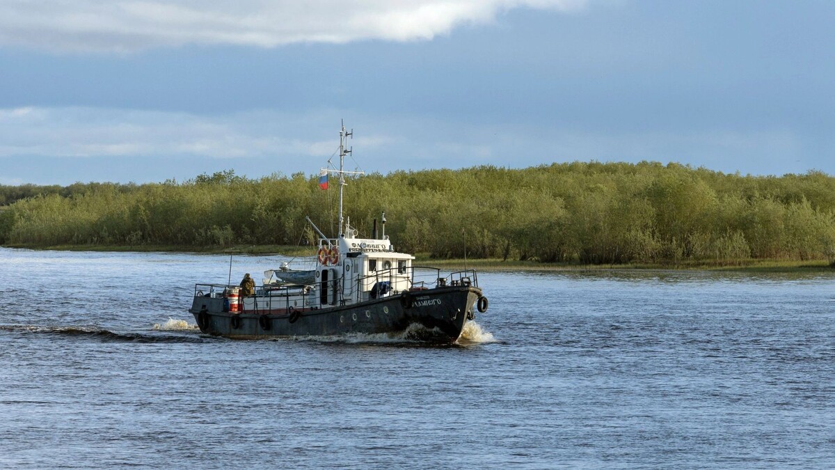    Фото: Федор Воронов/«Ямал-Медиа»