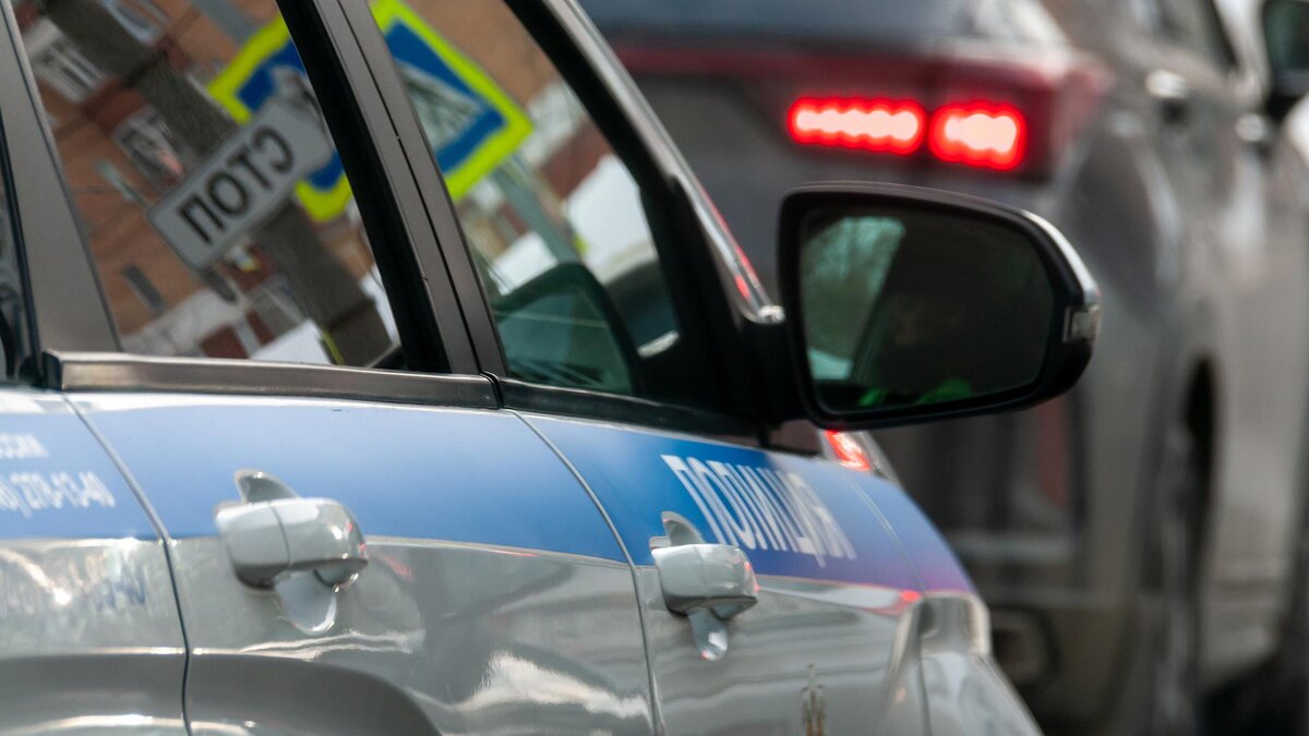    Фото: Svetlana Vozmilova/globallookpress.com