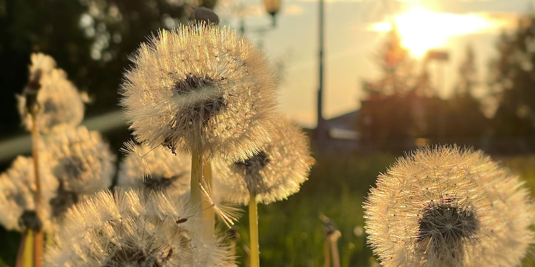 Воспоминания о лете. Фотографии, которые будут вдохновлять на создание красоты (Часть 1)