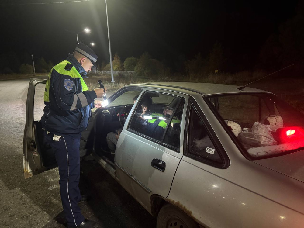     Фото: Госавтоинспекция Свердловской области