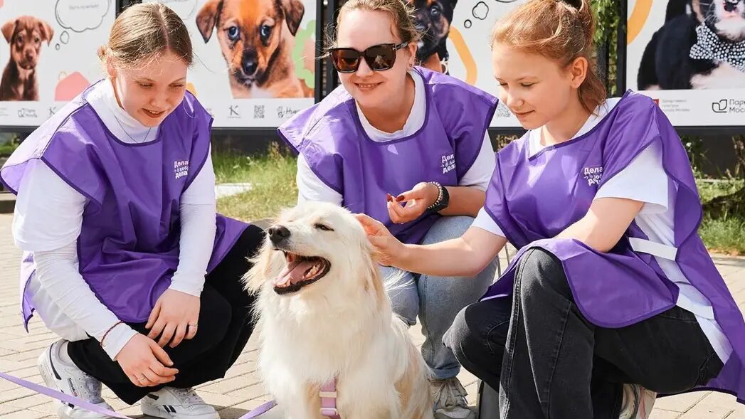    Фото: vm.ru Олеся Шмелева