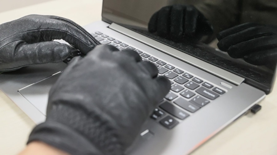     Блогеры в сети: как образы звезд помогли мошенникам украсть 300 млн рублей