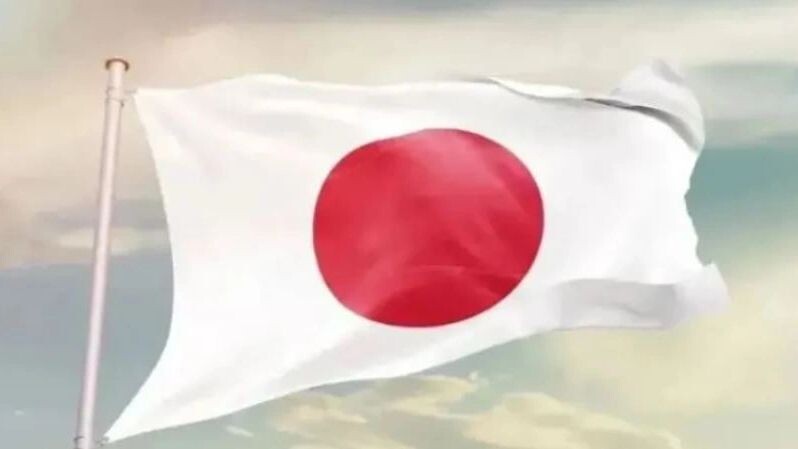    Фото: em_concepts/Shutterstock/Fotodom