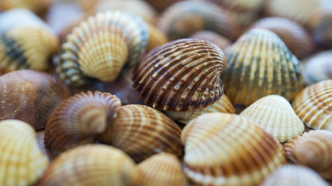    Фото: Aleksey Smyshlyaev /Globallookpress