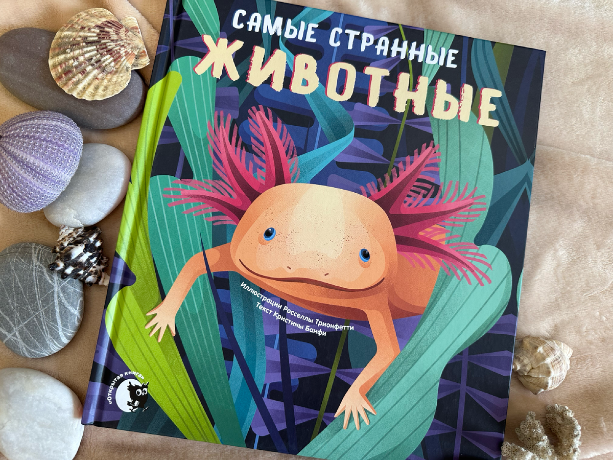 «Самые странные животные» Кристин Банфи