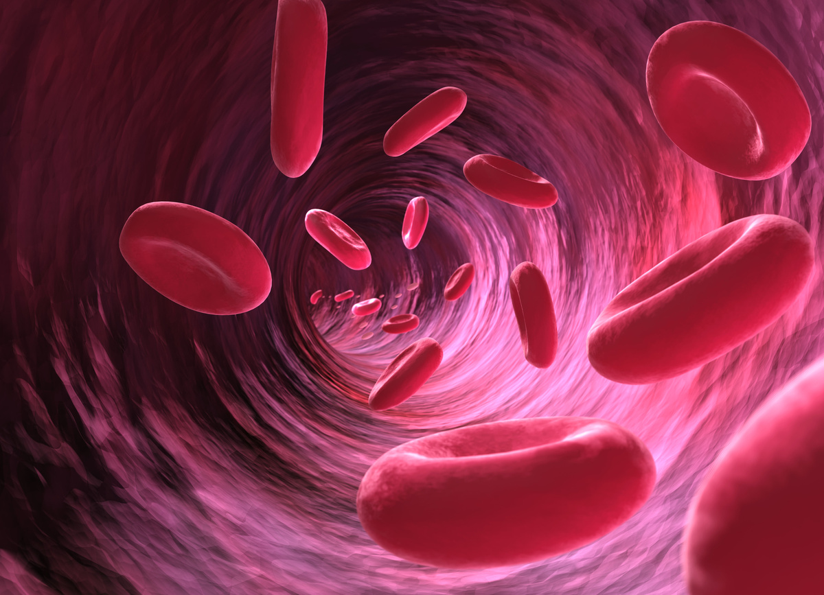     / Gettyimages.ru / Roger Sutcliffe