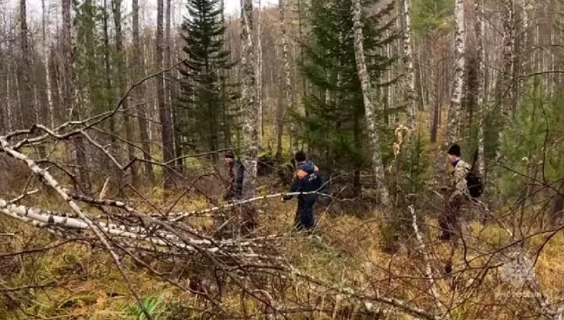 В поиске пропавших участвуют сотрудники экстренных служб и волонтёры
Фото:
Кадр видео ГУ МЧС России по Красноярскому краю