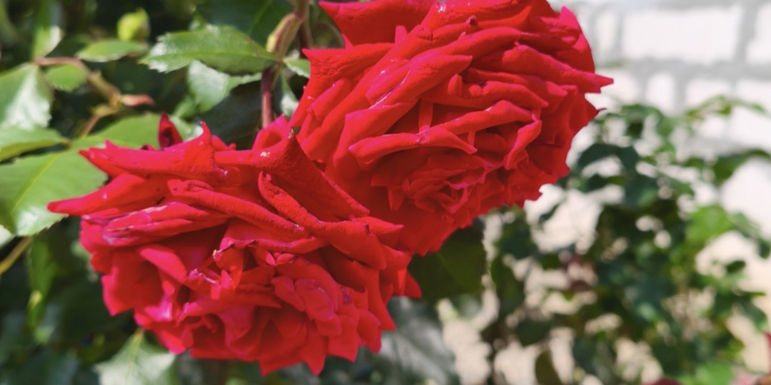 МСЭ, как движется процесс