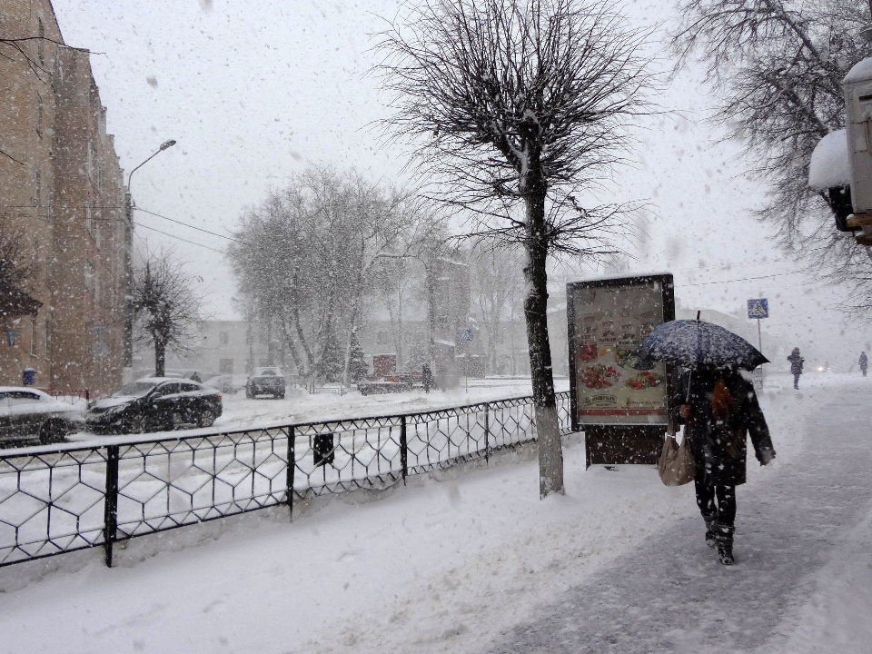    Фото: медиасток.рф