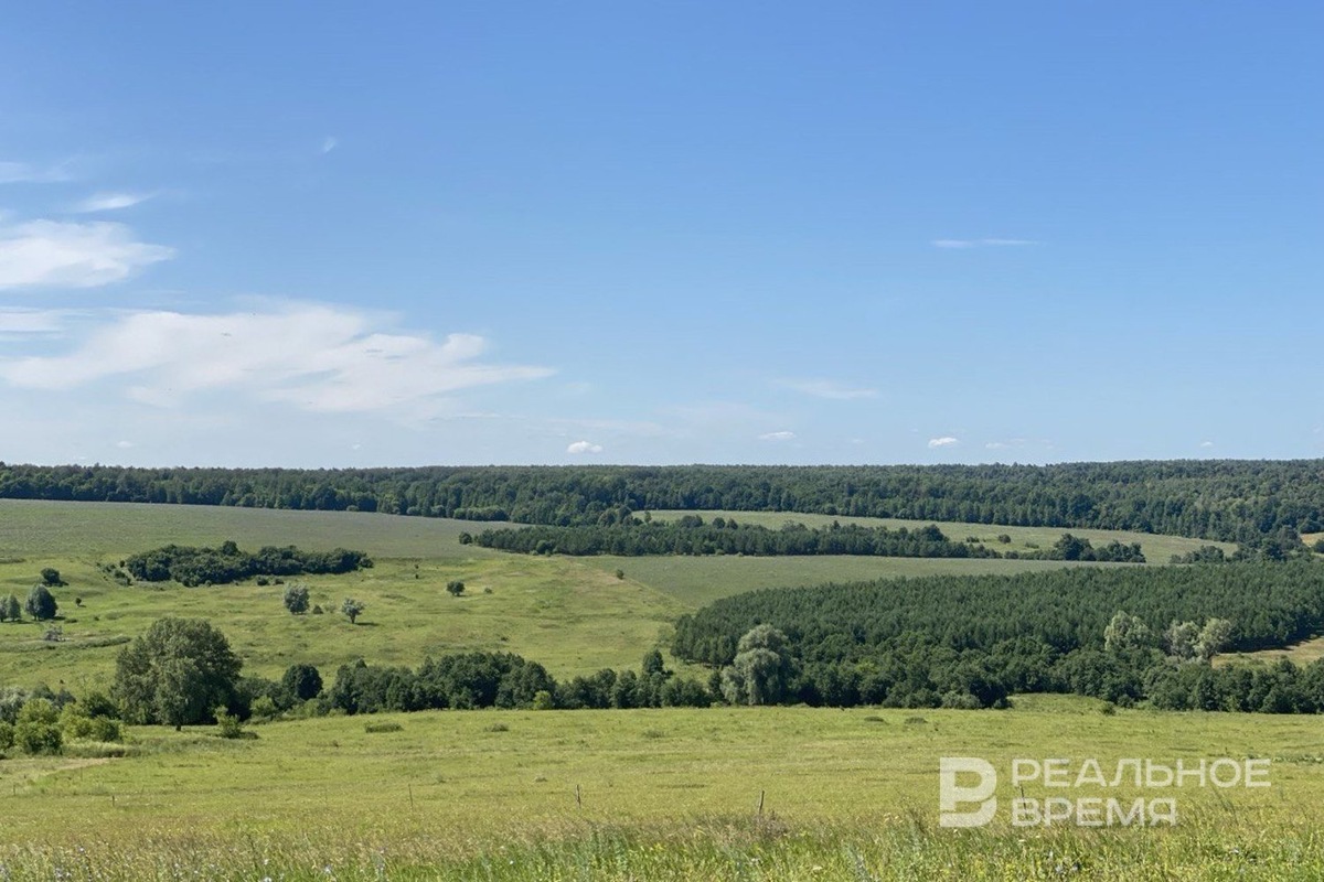   Реальное время / realnoevremya.ru