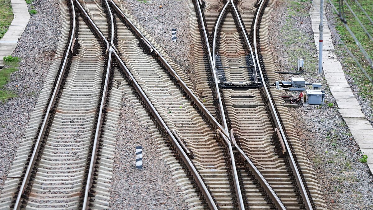    Фото: Belkin Alexey/globallookpress.com