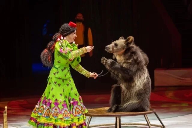    Правда, что вводят запрет на участие животных в цирковых представлениях?