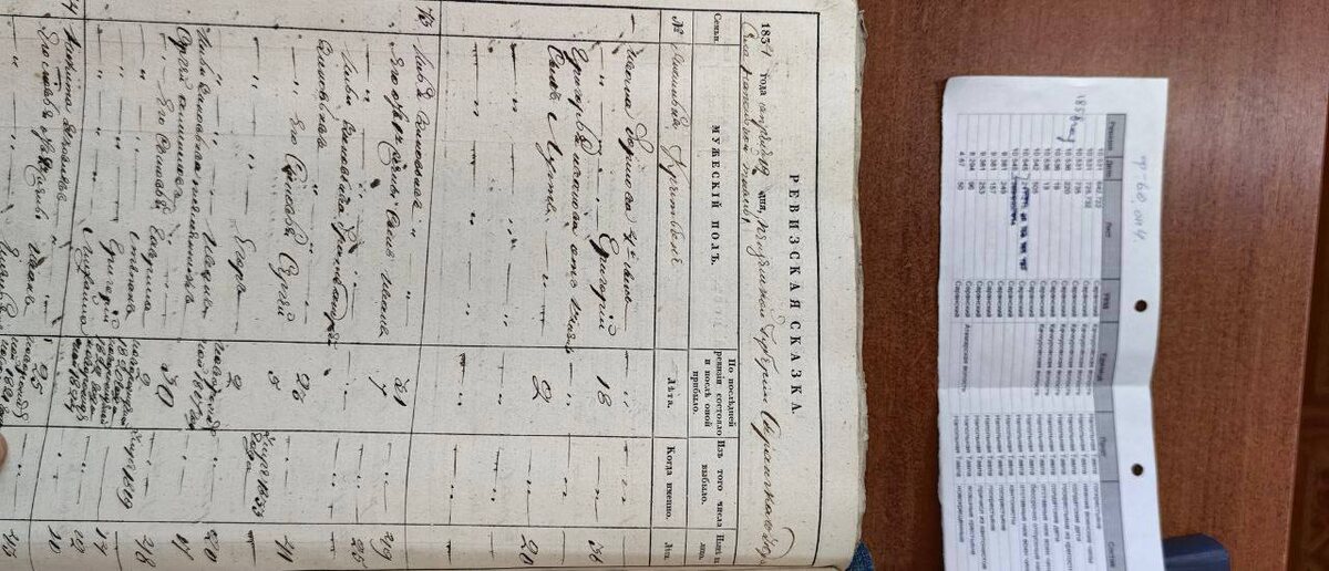 ревизские сказки помогают собрать информацию 