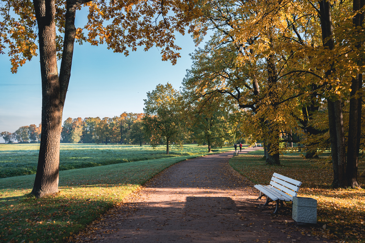 Аллея осеннего парка Александрия.