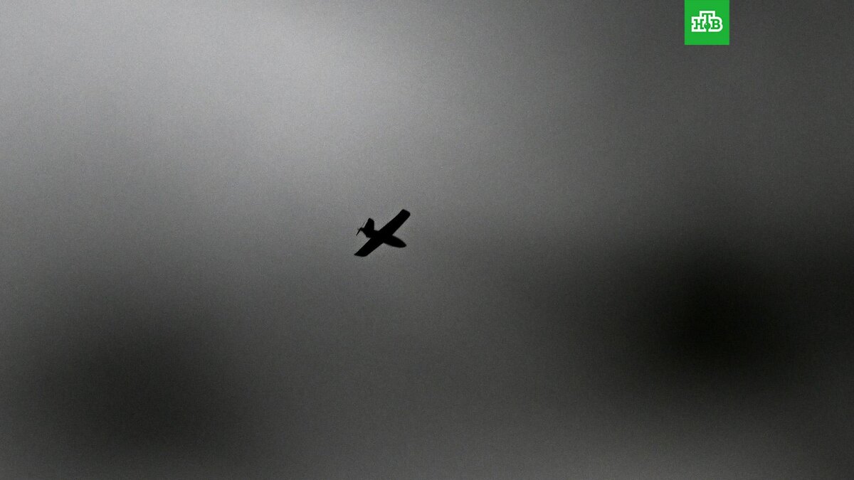    Фото: РИА Новости © 2025, Станислав Красильников