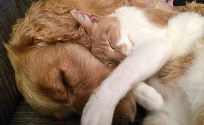    © Фото: pxhere.com