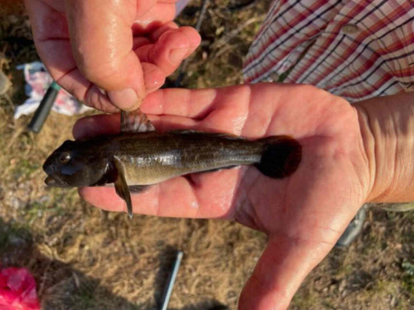    Хоперский заповедник.