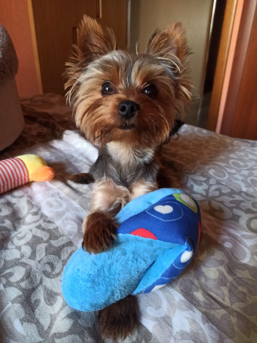 Самый-самый! Наш Веня!