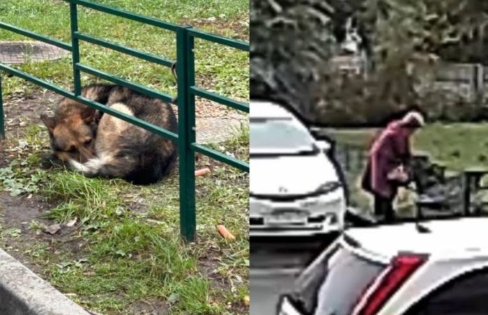 Фото «КП-Новосибирск».