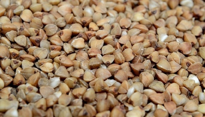    Эксперты предупредили о резком падении урожая гречки в России