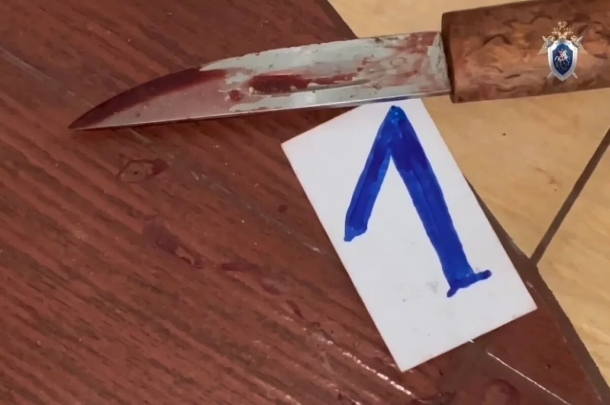    Появились подробности убийства женщины и её 11-летнего сына в Якутске