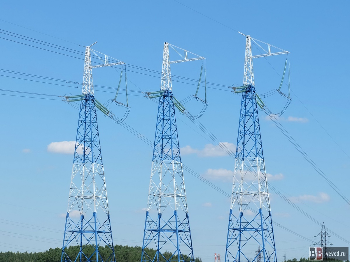     Фото: Владислав Постников / Вечерние ведомости