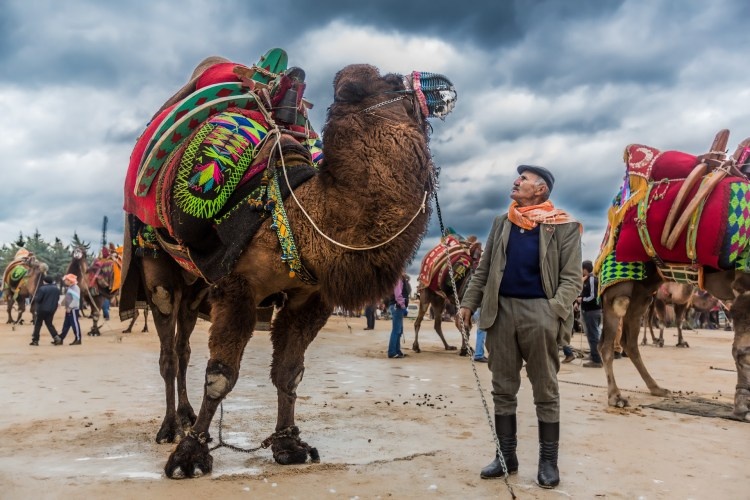 Источник: bodrum.com.ru