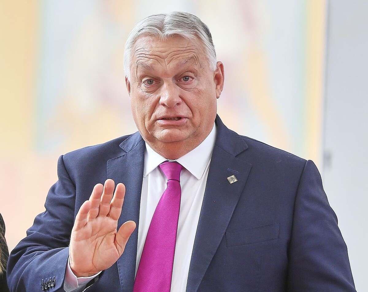     / Источник: © Global Look Press