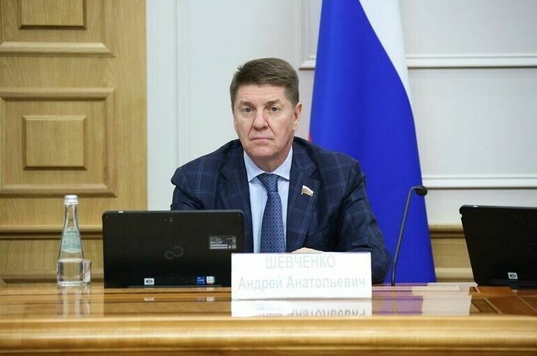   Денис Вышинский/пресс-служба Совета Федерации