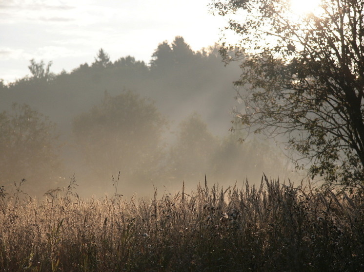 Фото: Кирилл Искольдский
