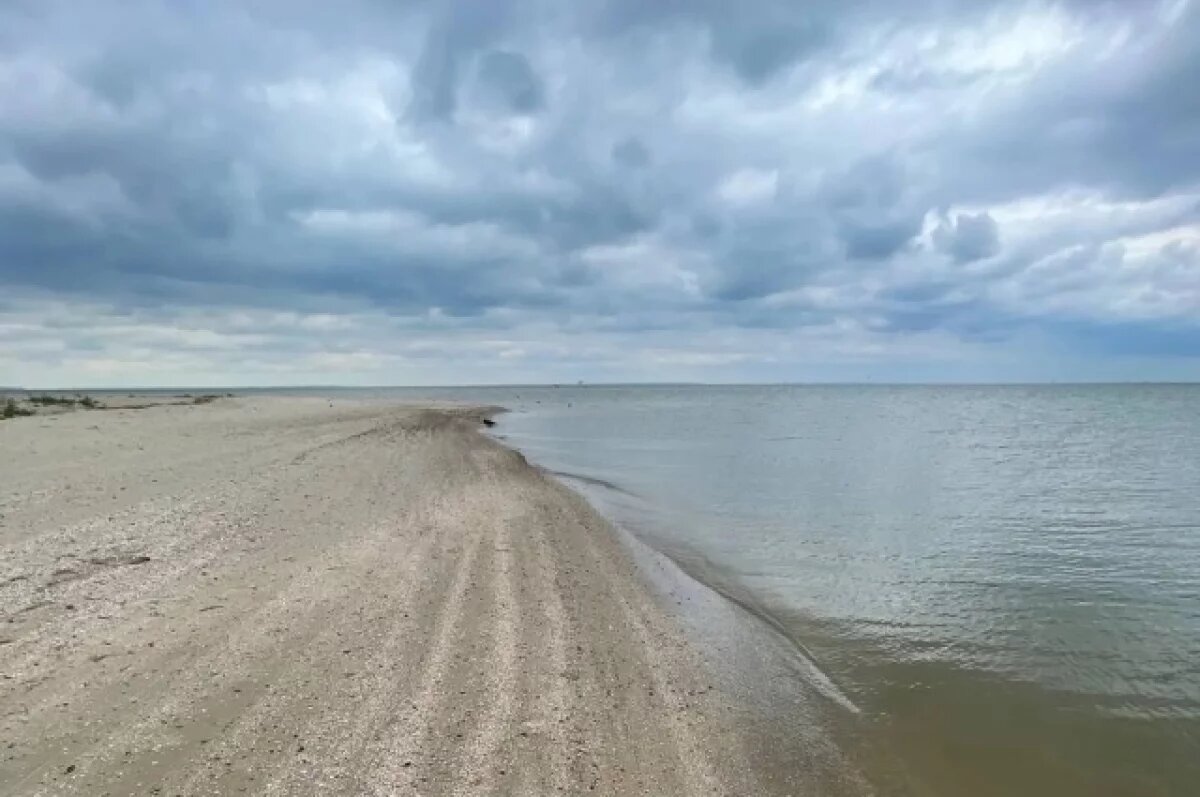    В Таганроге обсудили перспективы берегоукрепления Приморского пляжа