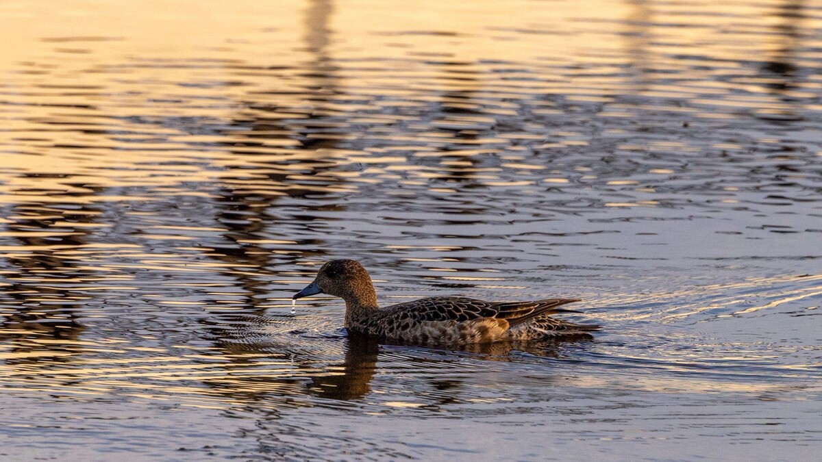    Фото: Федор Воронов/«Ямал-Медиа»