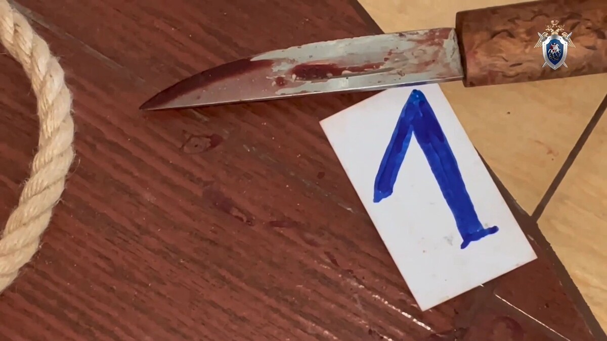    Фото: t.me/sledcom_press