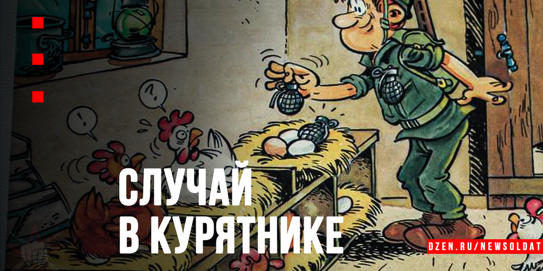 Дневальный по куряинику: как рядовой срочной службы стал главным птицеводом части