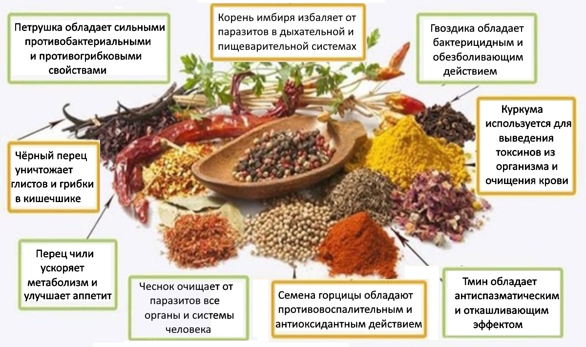 С давних времен аюрведа придает особое значение травам и специям, открывая перед человеком настоящую палитру вкусов и запахов. Однако этим назначение трав не ограничивается, древнейшая наука о врачевании учит тому, что специи способны привести в равновесие все три доши. 

