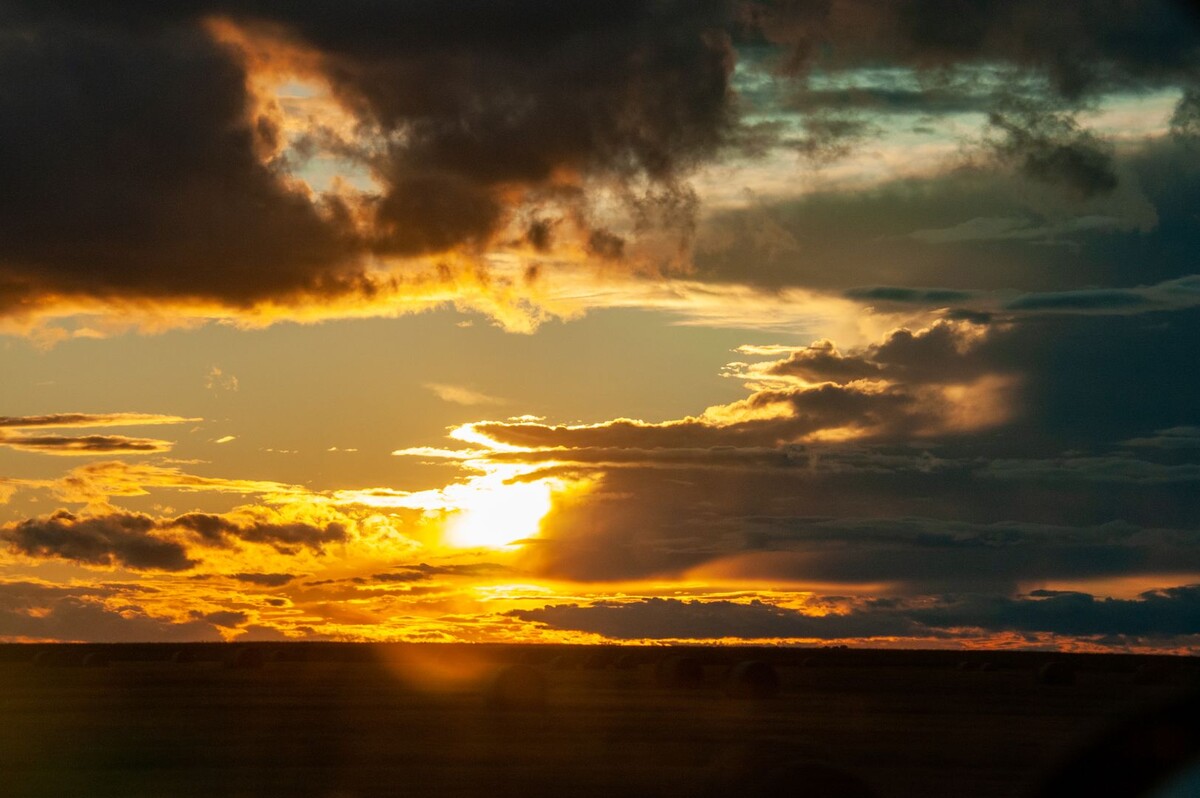     / Источник: © Global Look Press